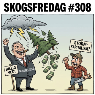 Skogsfredag #308 - Låna istället för att avverka? Om Q4-rapporter och nya kalkyler