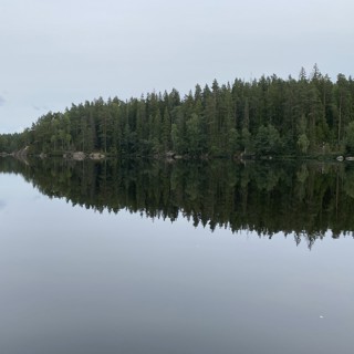 Del 2. Sverige på klimattoppmötet 2025