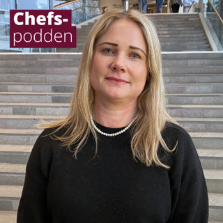 Maria Fors Brandebo om destruktiva loopar, passivt ledarskap och medarbetare i ”frysfacket”