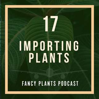 17. Importing Plants