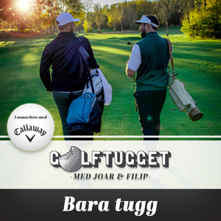 Bara tugg