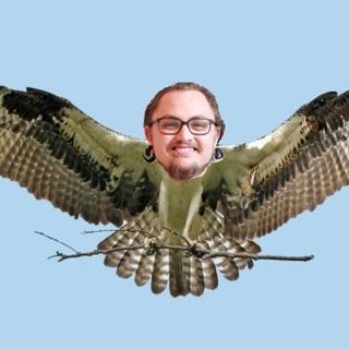 #60 Höken