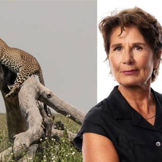Inte rädd för leoparder: Alice Petrén