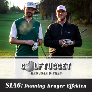 S1A6 Dunning-Kruger-effekten