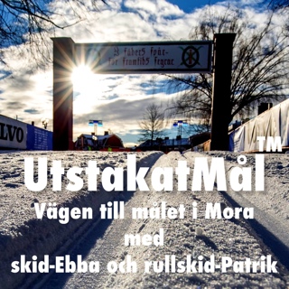 11. Äntligen dags för Vasaloppsveckan!!