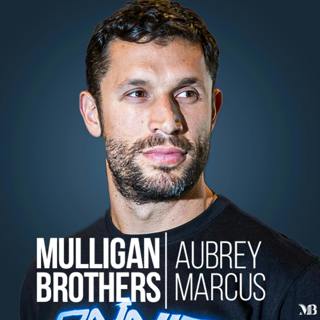 Embracing the Game of Life: Finding Joy in Work & Recreation | Aubrey Marcus