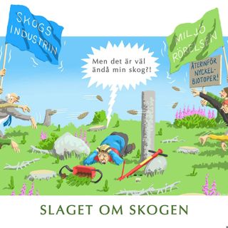 Skogsfredag, Avsnitt 81 - Regn och blåst, 5 miljoner GBB-gran och pengar styr