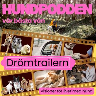 Drömtrailern - Visioner för livet med hund - med Emelie Johnson Vegh