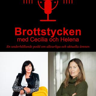 2. Brottstycken om grooming