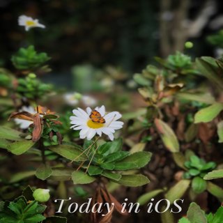 Tii - iTem 0409 - iOS 10.1 beta 2