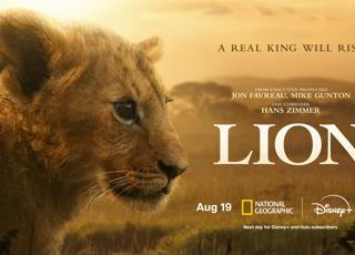 From Cub to King: Faith Musembi on Nat Geo’s Lion