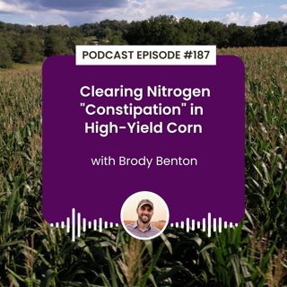 Episode 187: Clearing Nitrogen "Constipation" in High-Yield Corn with Brody Benton