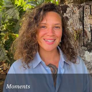 Moments: Lost in the Cerrado Jungle