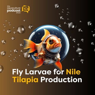 Black Soldier Fly Larvae for Nile Tilapia Production | Ep. 78