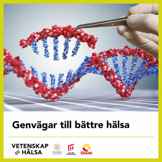Genvägar till bättre hälsa