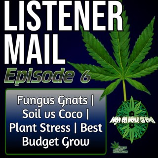 Fungus Gnats, Soil vs Coco, Flowering Stress, £300 Grow Setup & Bringing Pollinated Plants Indoors | Listener Mail #6