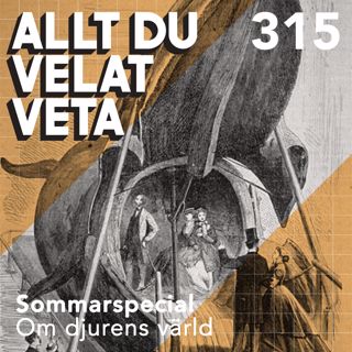 315 Sommarspecial om djurens värld