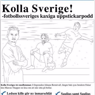 C84 - Kolla Sveriges officiella lag: Del 5