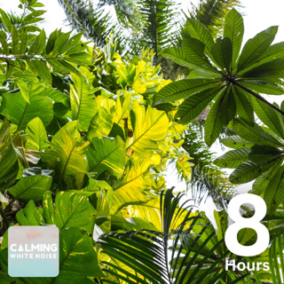 Sounds of Nature (8 Hours) | Crashing Waves with Tropical Bird Sounds