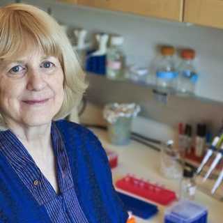 Mary-Claire King hjälpte mormödrar i Argentina att hitta stulna barnbarn