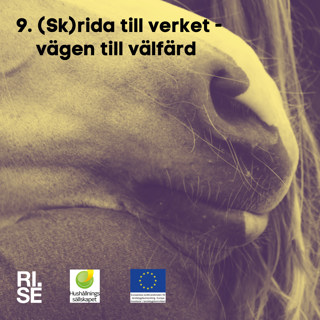 (Sk)rida till verket – vägen till välfärd