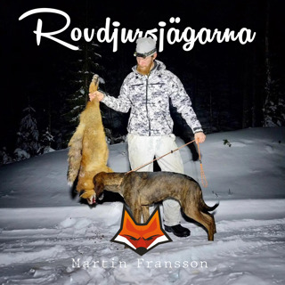 Martin Fransson - Björnar och flytten från småland till Norrland