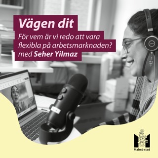 7. Seher Yilmaz - för vem är vi flexibla på arbetsmarknaden?