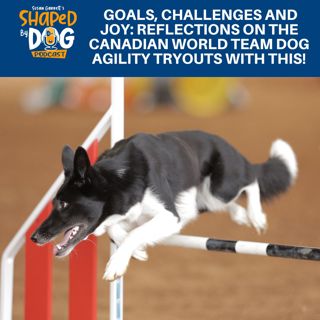 Goals, Challenges And Joy: Reflections On The Canadian World Team Dog Agility Tryouts With This! #270
