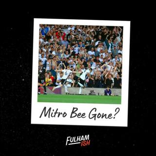 Thursday Club: Mitro Bee Gone?