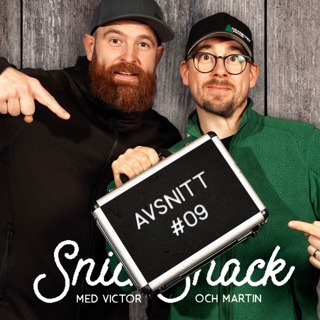 #09 - Trä- eller plåtregel?