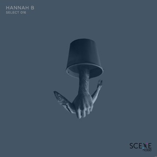 Select - 016 Mixed by Hannah B
