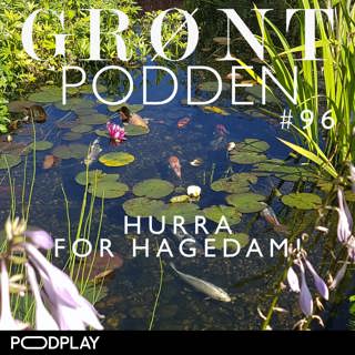 #96 Hurra for hagedam!