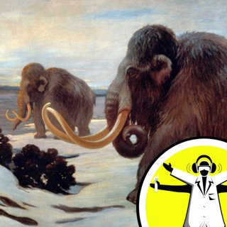 The End of Extinction?