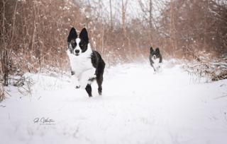 315: Winter Training and Holiday Update