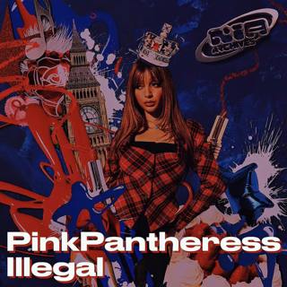 PinkPantheress - Illegal (TikTok Song)