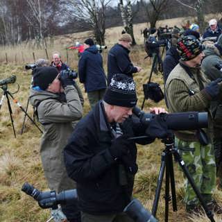 Fågelskådning har blivit en modern hobby