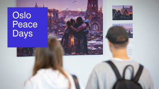 AI in War & Peace: The Politics of Truths and Fakes