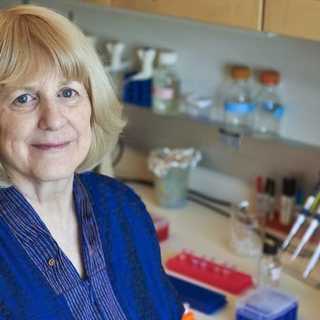 Mary-Claire King hjälpte mormödrar i Argentina att hitta stulna barnbarn (R)