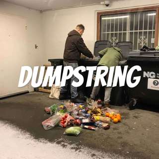 #5 - Dumpster diving. Det er en greie.
