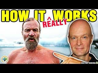 What Happens During Wim Hof Breathing? 
