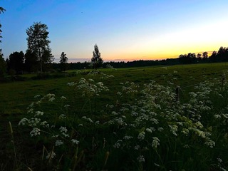 GT-Festival och midsommar