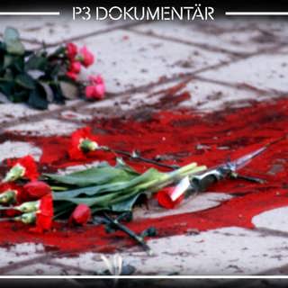 Det olösta Palmemordet (R)