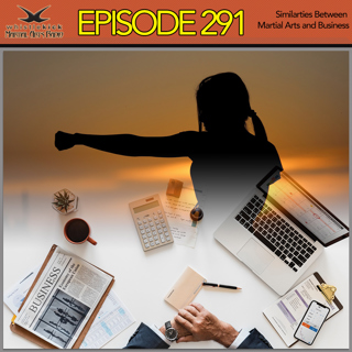 Episode 291 - Similarities Between Martial Arts and Business