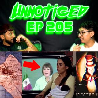 Darkest Mexican Media, Disturbing Casos De La Vida Real Episode, Cat & The Hat Analog Horror!