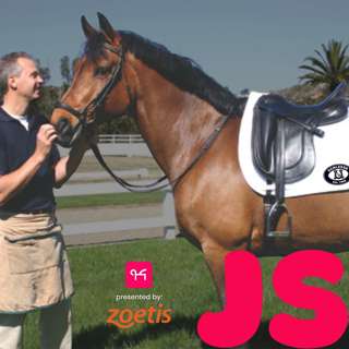 Built to Fit: The Schleese Saddlery Story