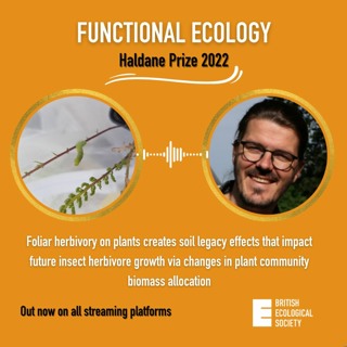 2022 nominee: Feeding from up to bottom—belowground herbivory impacts on plant-soil feedbacks