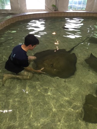 Fish Training (White Sturgeon) – With Johnny May.