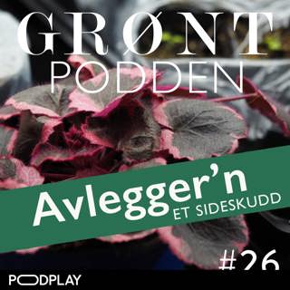 #26 Grøntpodden avlegger'n