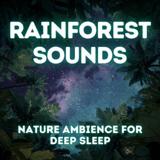 Forest Rain Sounds — Nature Ambience for Deep Sleep