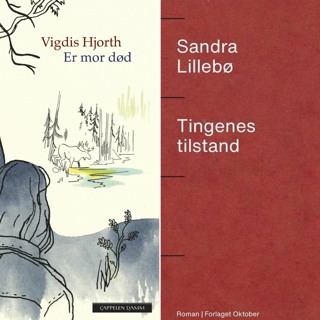 #213: Vigdis Hjorth og Sandra Lillebø (fra Kapittel20)